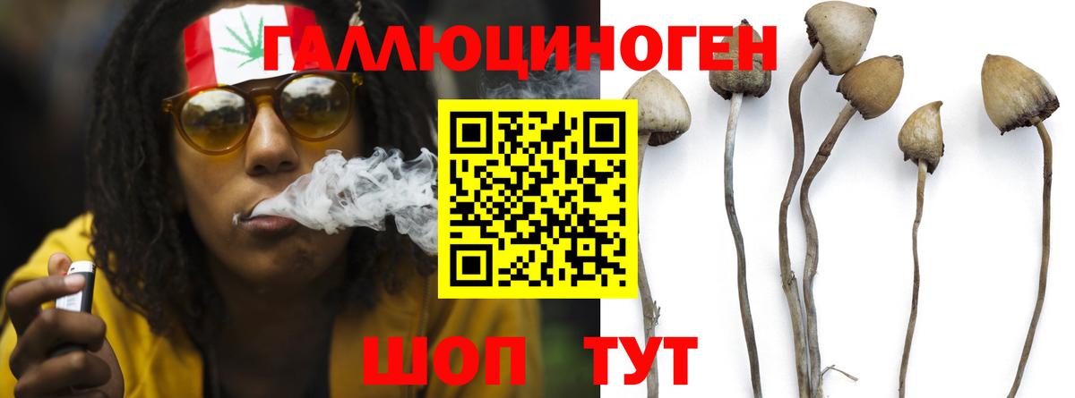 Назарово  Псилоцибиновые грибы Psilocybine cubensis  Псилоцибиновые грибы прущие грибы  наркотики  Вход с VPN 